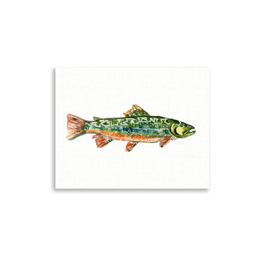 River Trout No. 1 Print 11x14