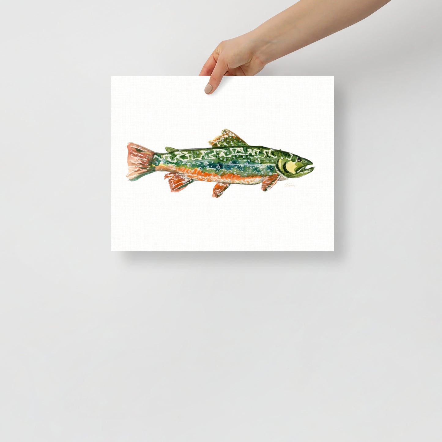 River Trout No. 1 Print 11x14